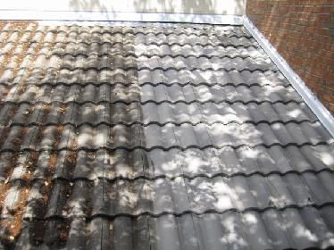 Roof Cleaning Tampa