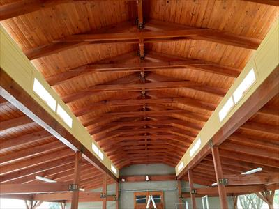 Rafter Cleaning Tampa